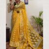 Indian Women Thread Woven Jamdhani Saree